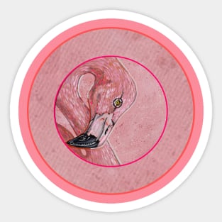 Flamingo by Kris Morse Sticker